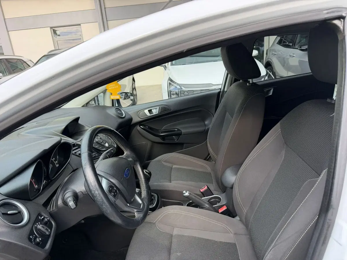 Ford Fiesta usata a Rimini (11)