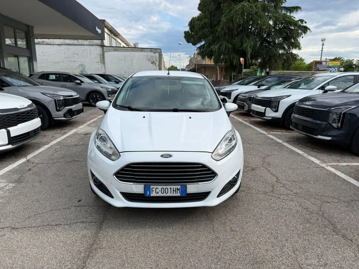 Ford Fiesta usata a Rimini (2)
