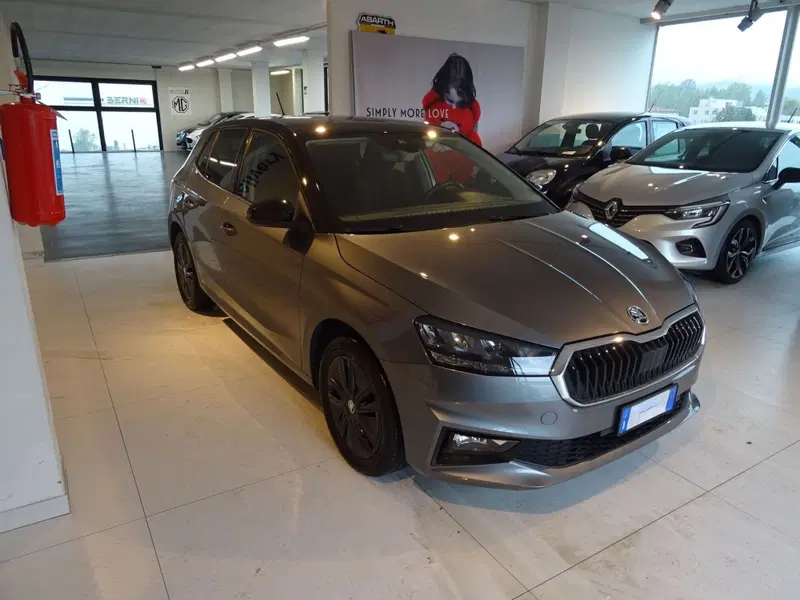 Skoda Fabia usata a Lucca (7)