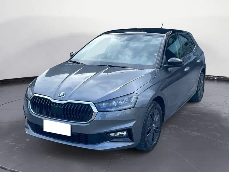 Skoda Fabia usata a Lucca