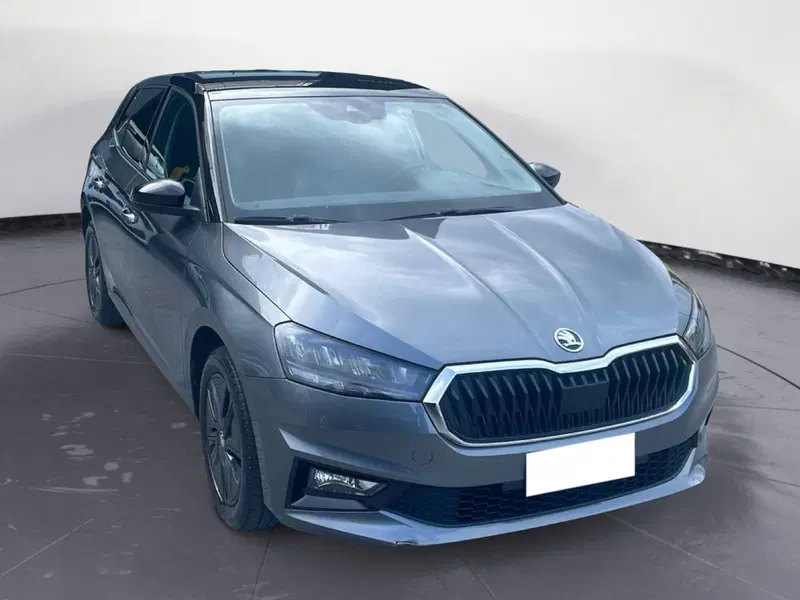 Skoda Fabia usata a Lucca (7)