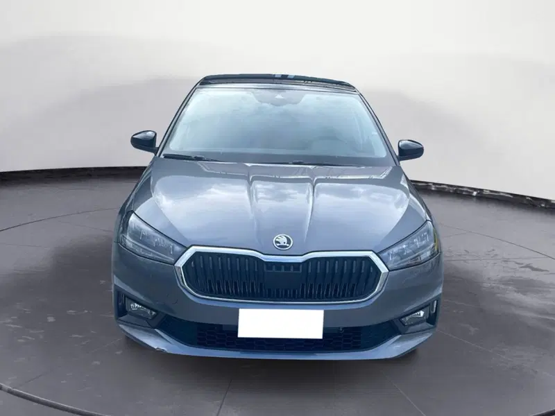Skoda Fabia usata a Lucca (8)