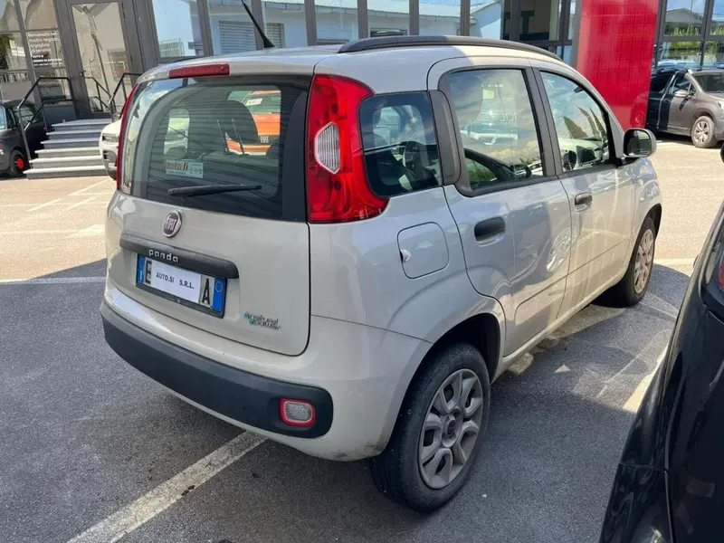 Fiat Panda usata a Lucca (4)