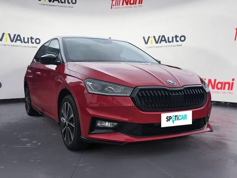 Skoda Fabia usata a Massa-Carrara (18)
