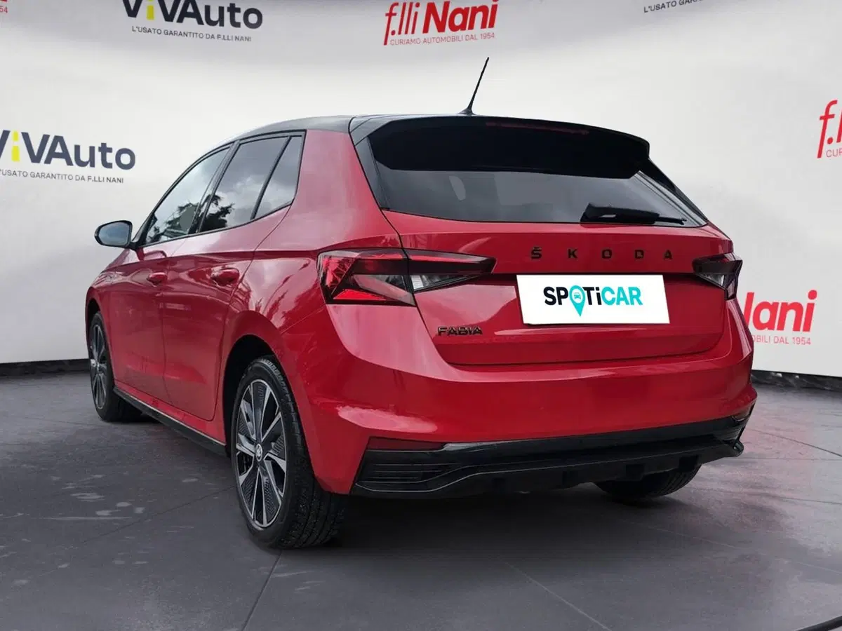 Skoda Fabia usata a Massa-Carrara (19)