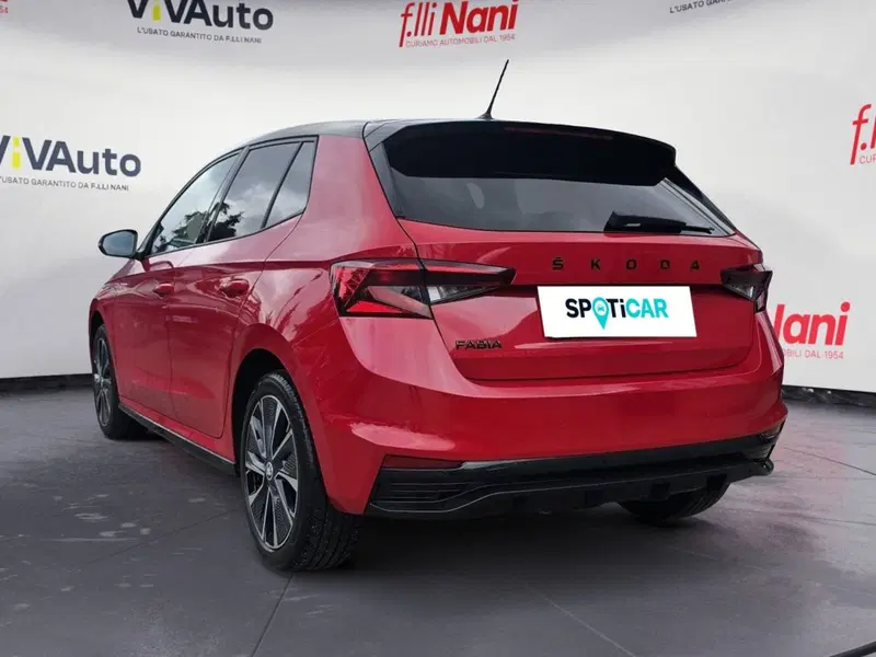 Skoda Fabia usata a Massa-Carrara (19)