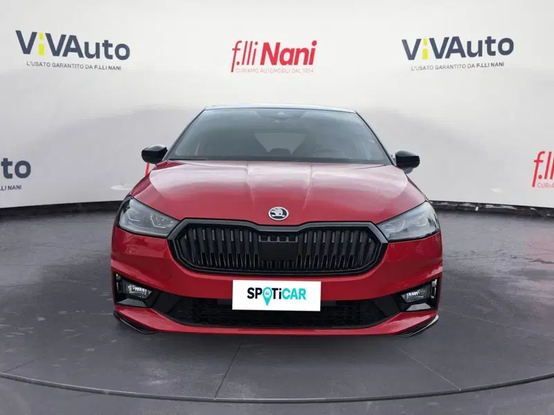 Skoda Fabia usata a Massa-Carrara (3)