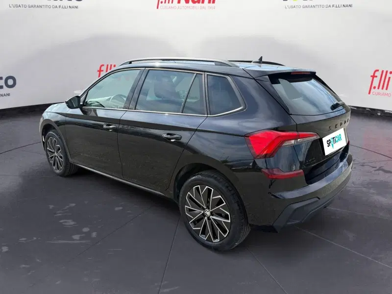 Skoda Kamiq usata a Massa-Carrara (2)