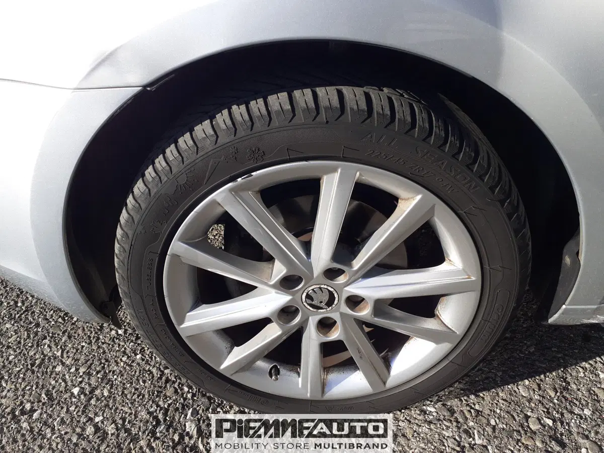 Skoda Octavia Station Wagon usata a Piacenza (12)