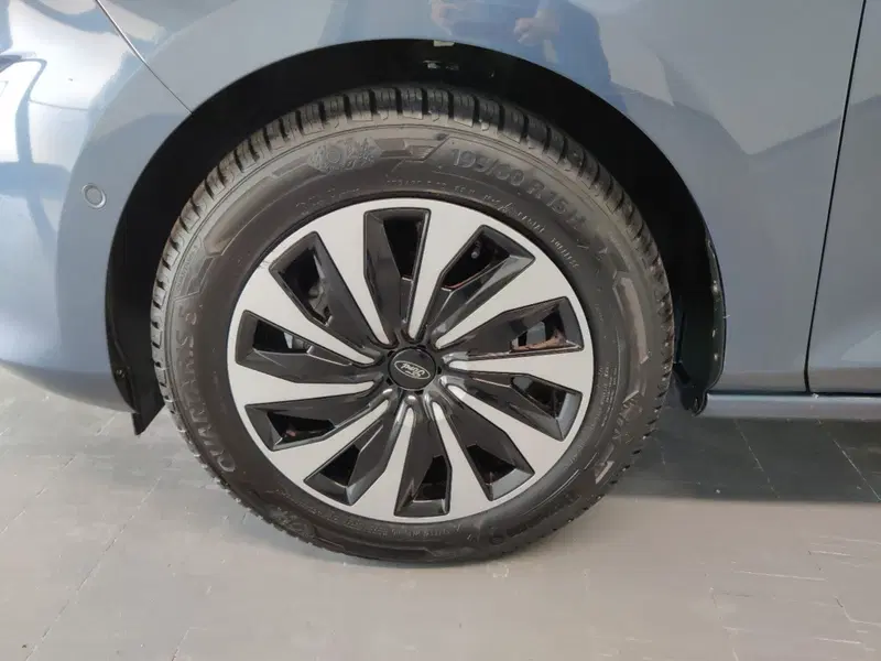 Ford Fiesta usata a Arezzo (9)