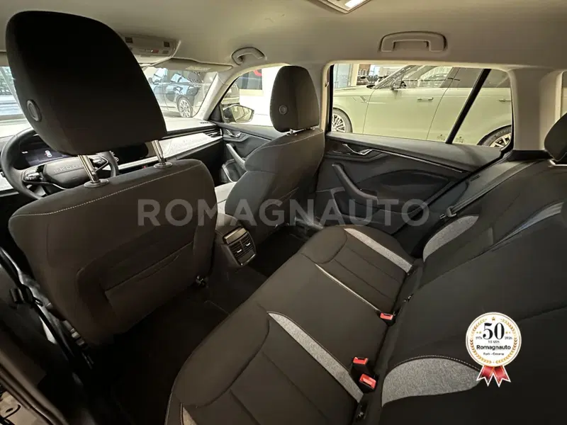 Skoda Kamiq usata a Forlì-Cesena (12)