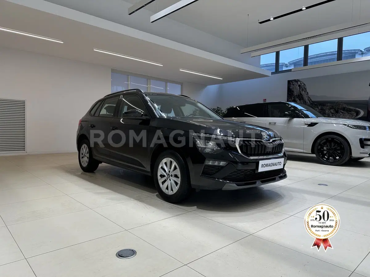 Skoda Kamiq usata a Forlì-Cesena (3)