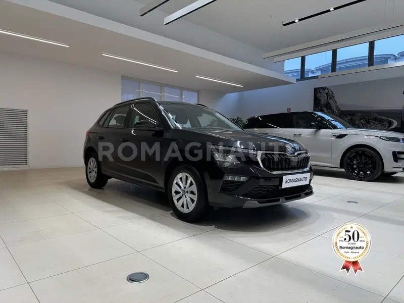 Skoda Kamiq usata a Forlì-Cesena (3)