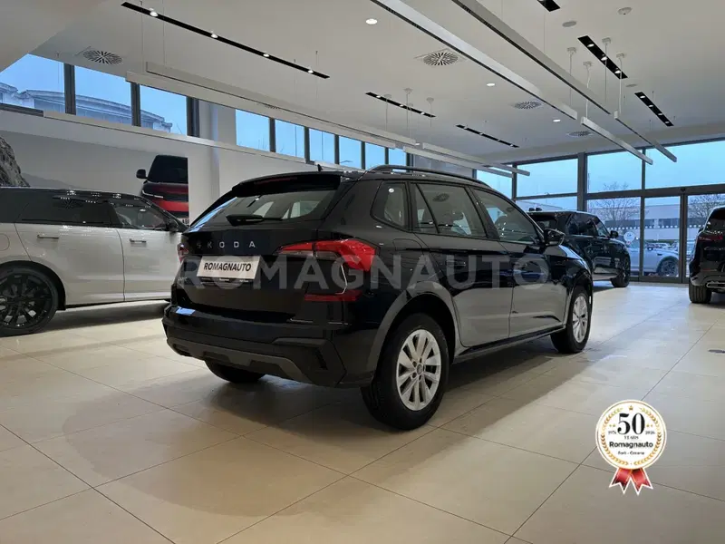 Skoda Kamiq usata a Forlì-Cesena (5)