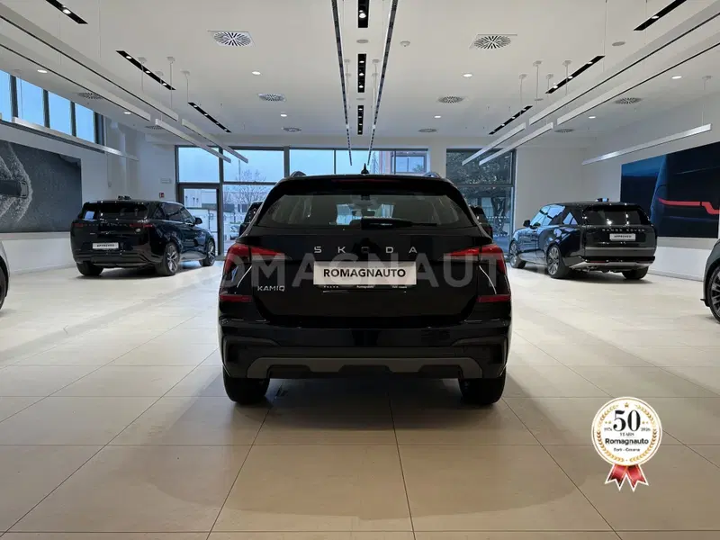 Skoda Kamiq usata a Forlì-Cesena (6)