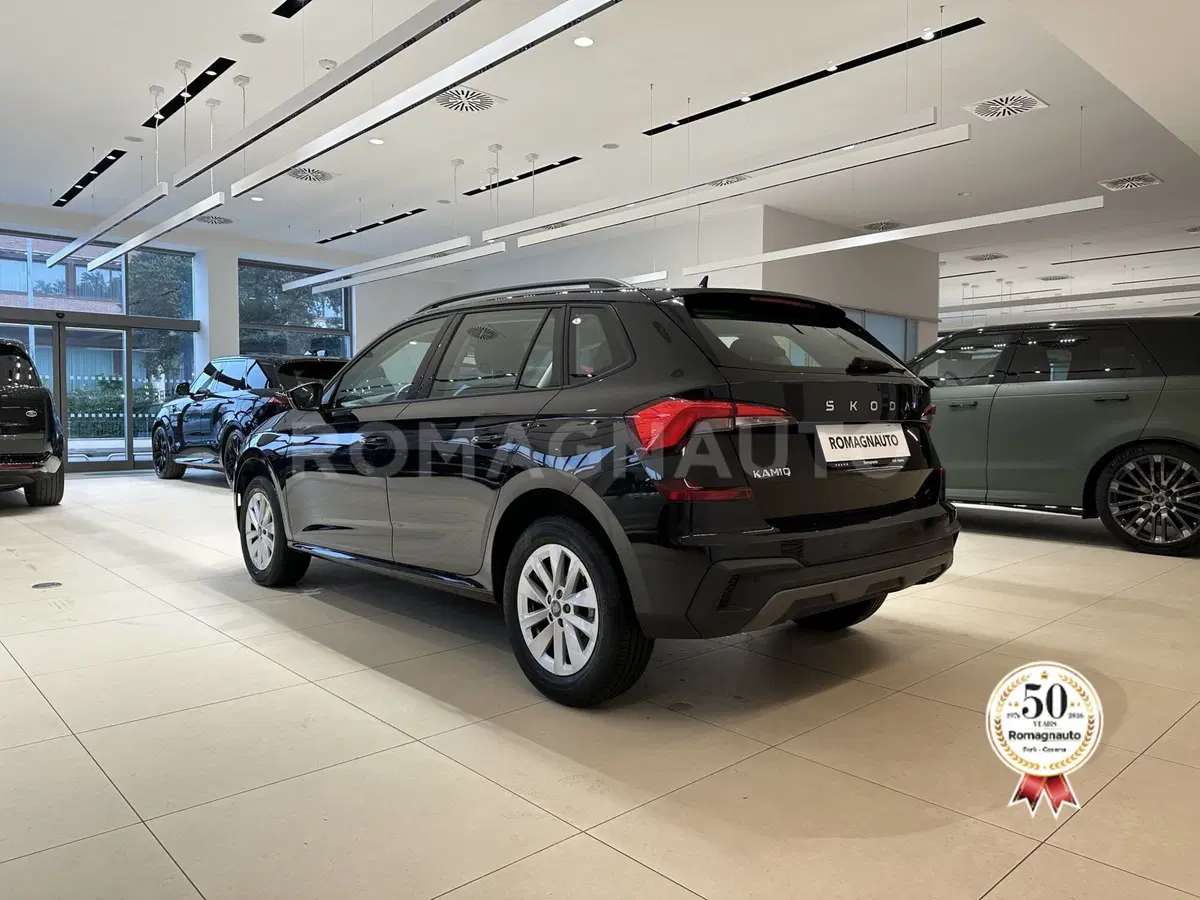 Skoda Kamiq usata a Forlì-Cesena (7)