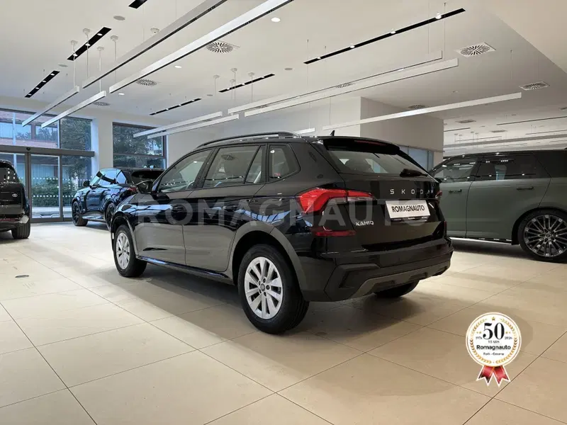 Skoda Kamiq usata a Forlì-Cesena (7)