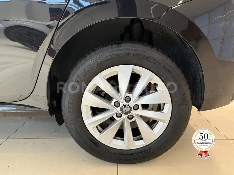 Skoda Kamiq usata a Forlì-Cesena (9)