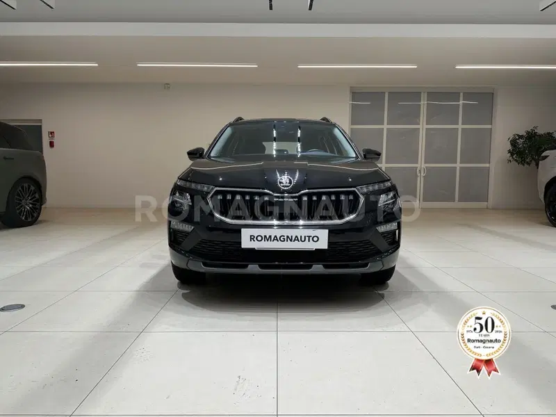 Skoda Kamiq usata a Forlì-Cesena (2)