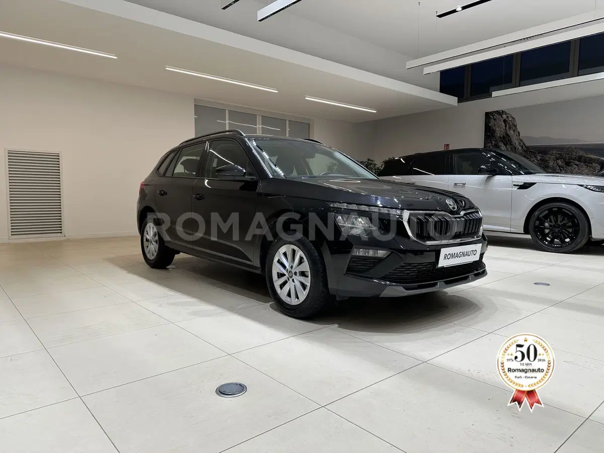 Skoda Kamiq usata a Forlì-Cesena (3)