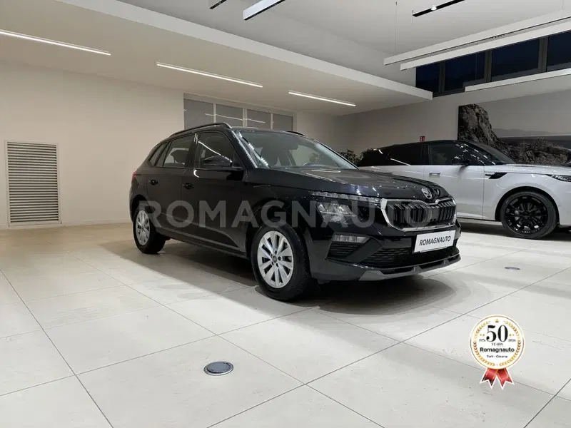 Skoda Kamiq usata a Forlì-Cesena (3)