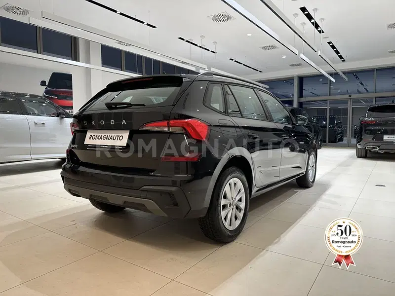Skoda Kamiq usata a Forlì-Cesena (5)