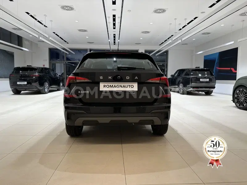 Skoda Kamiq usata a Forlì-Cesena (6)
