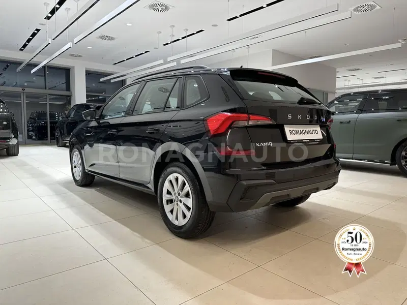 Skoda Kamiq usata a Forlì-Cesena (7)