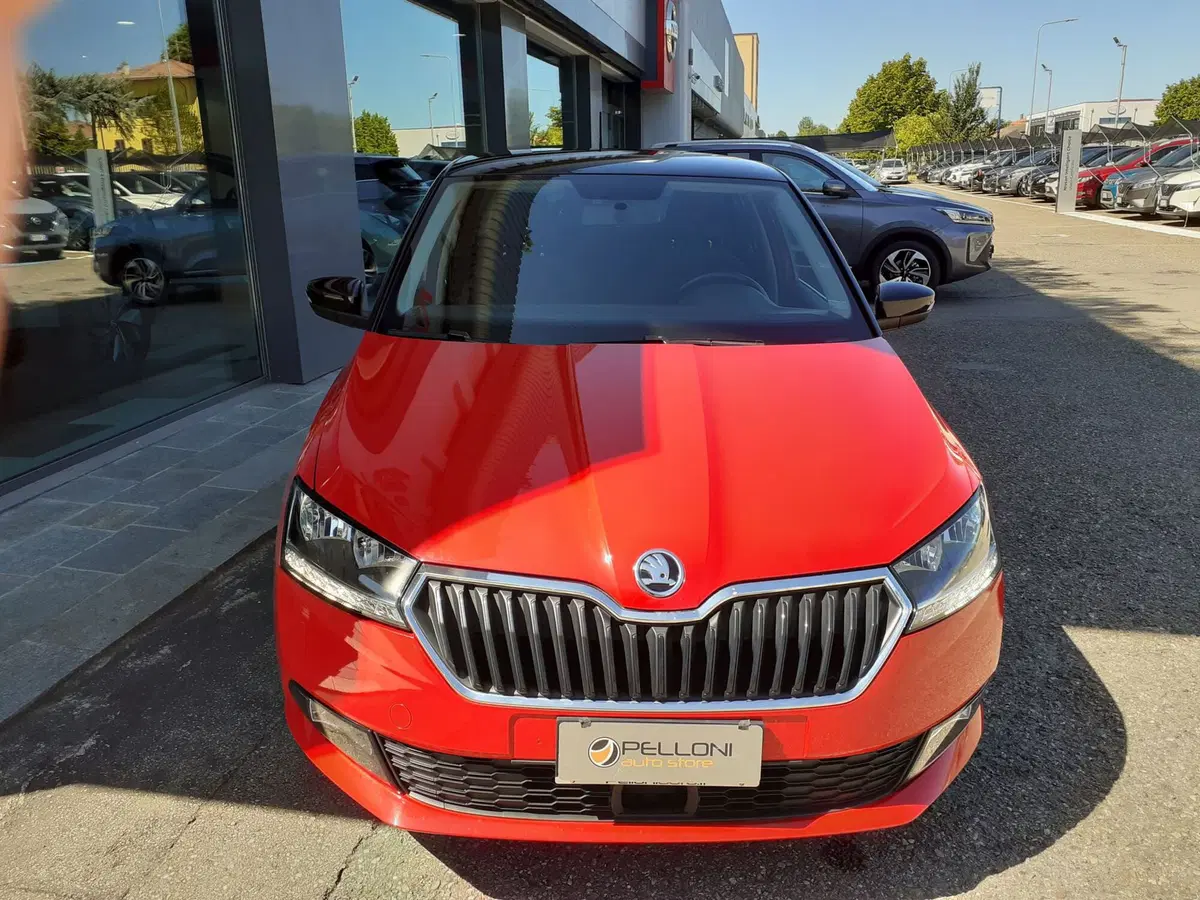 Skoda Fabia usata a Modena (2)