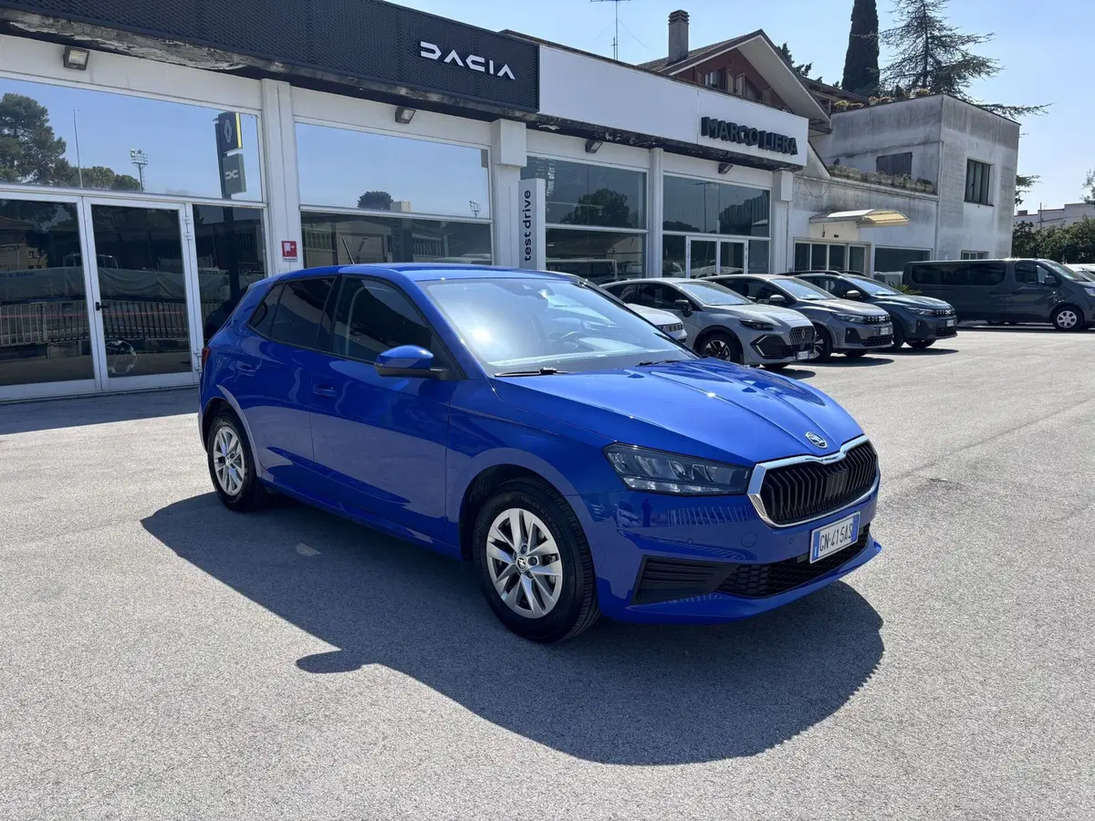 Skoda Fabia usata a Ancona (3)