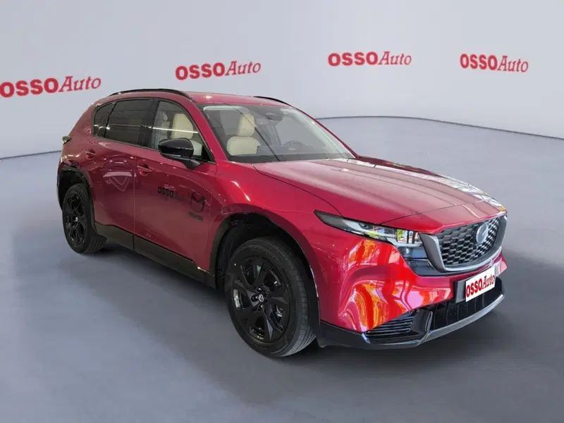 Mazda CX-5 usata a Udine (2)