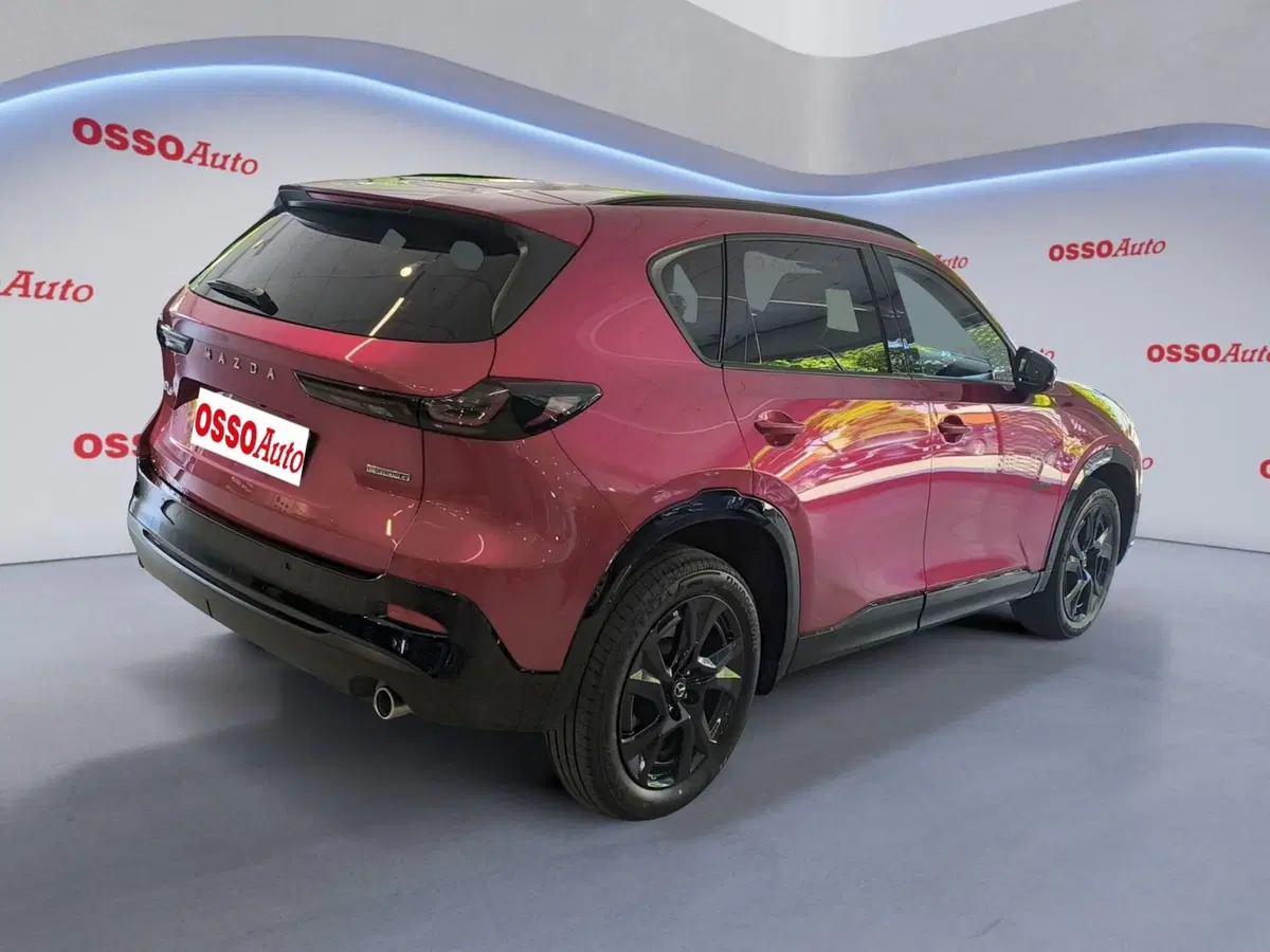 Mazda CX-5 usata a Udine (3)