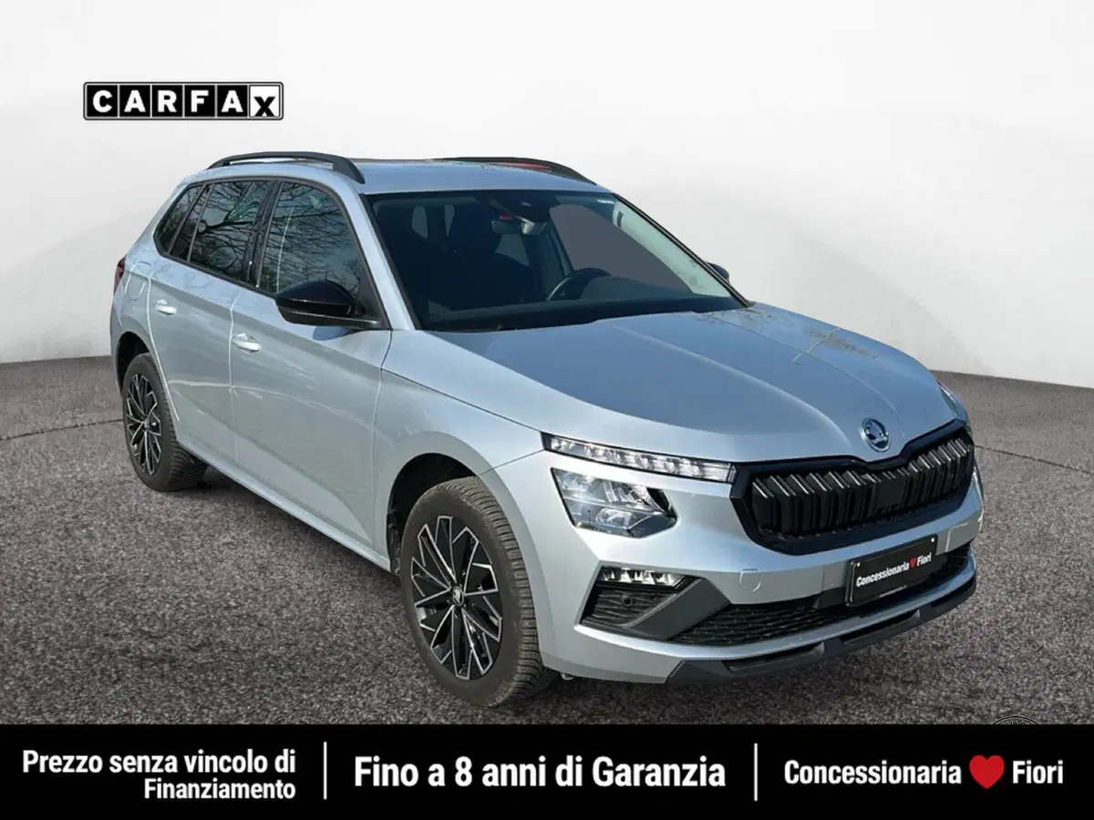 Skoda Kamiq usata a Latina (2)