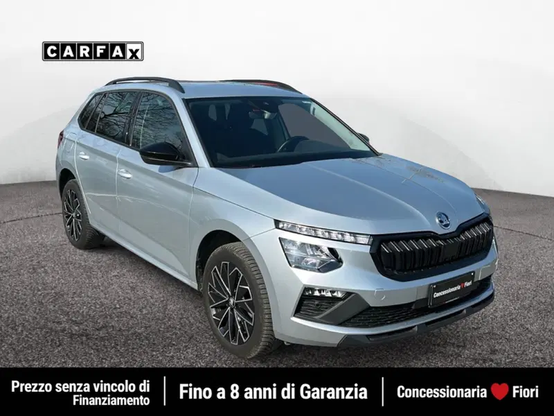 Skoda Kamiq usata a Latina (2)