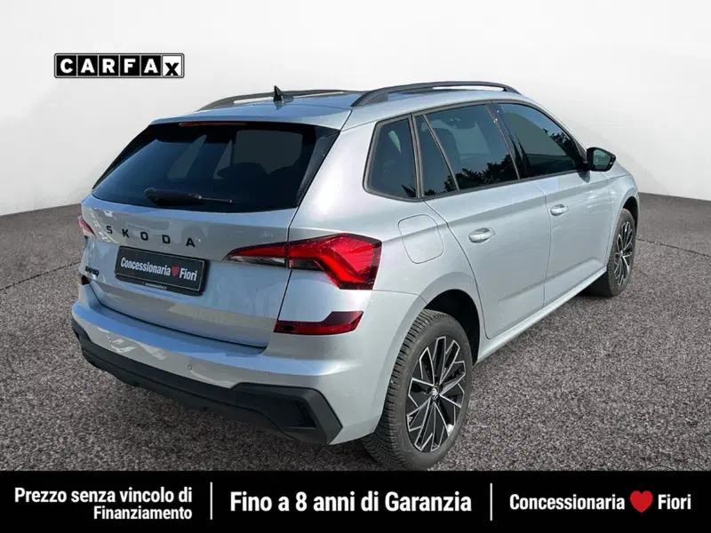Skoda Kamiq usata a Latina (3)