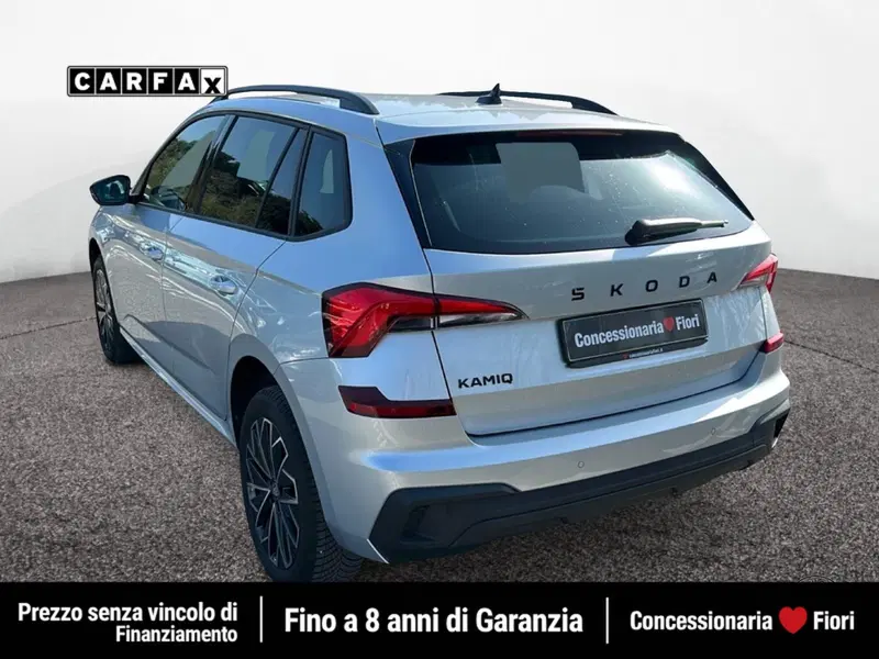 Skoda Kamiq usata a Latina (4)