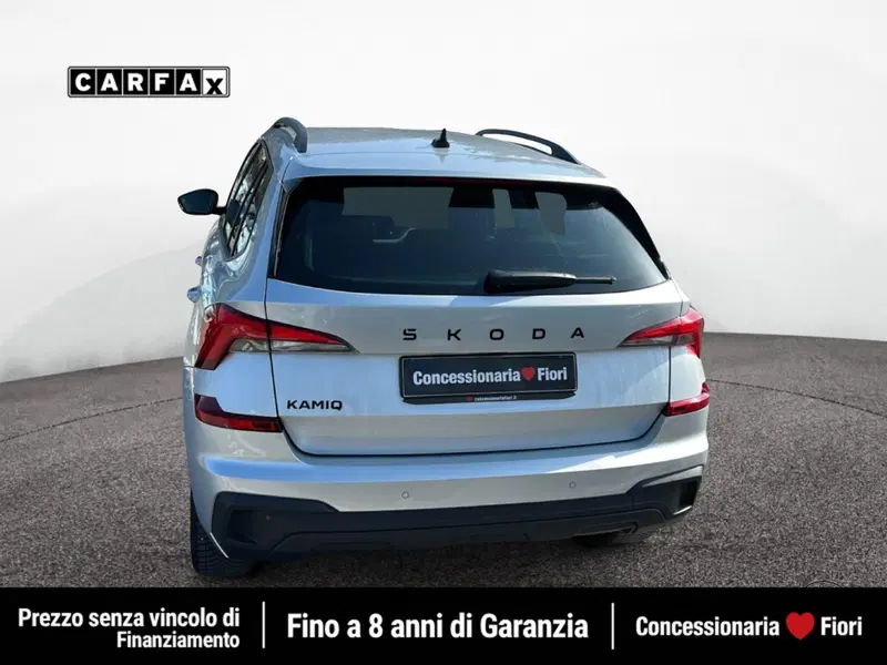 Skoda Kamiq usata a Latina (5)