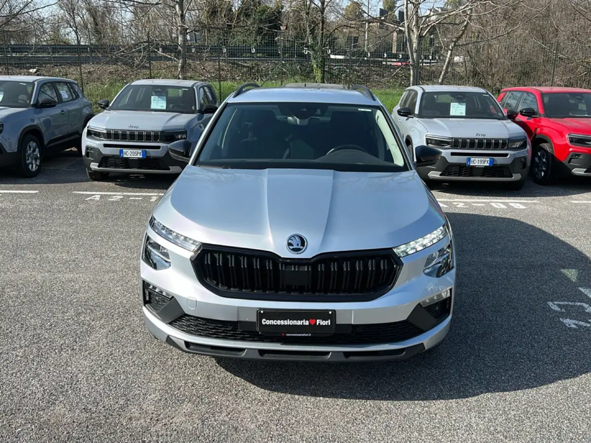 Skoda Kamiq usata a Latina (7)