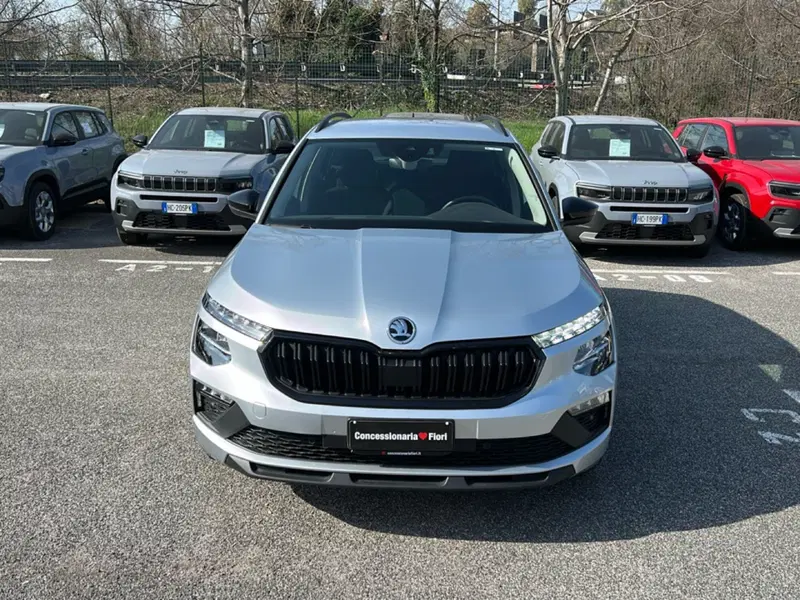 Skoda Kamiq usata a Latina (7)