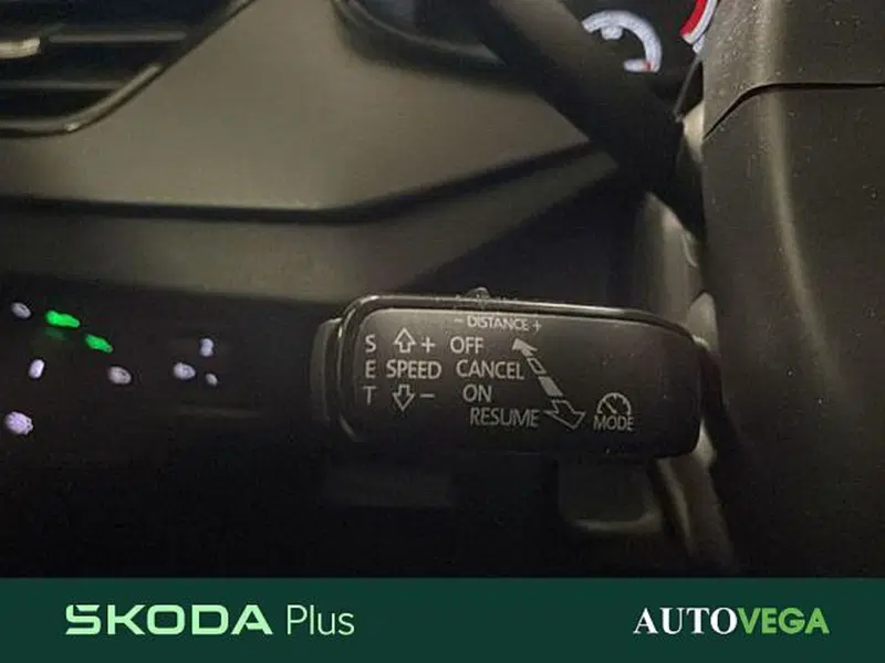 Skoda Kamiq usata a Vicenza (16)