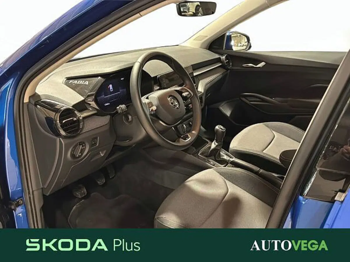 Skoda Fabia usata a Vicenza (19)