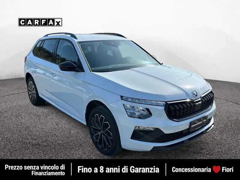 Skoda Kamiq usata a Roma (2)