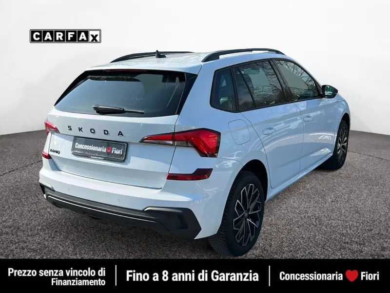 Skoda Kamiq usata a Roma (3)