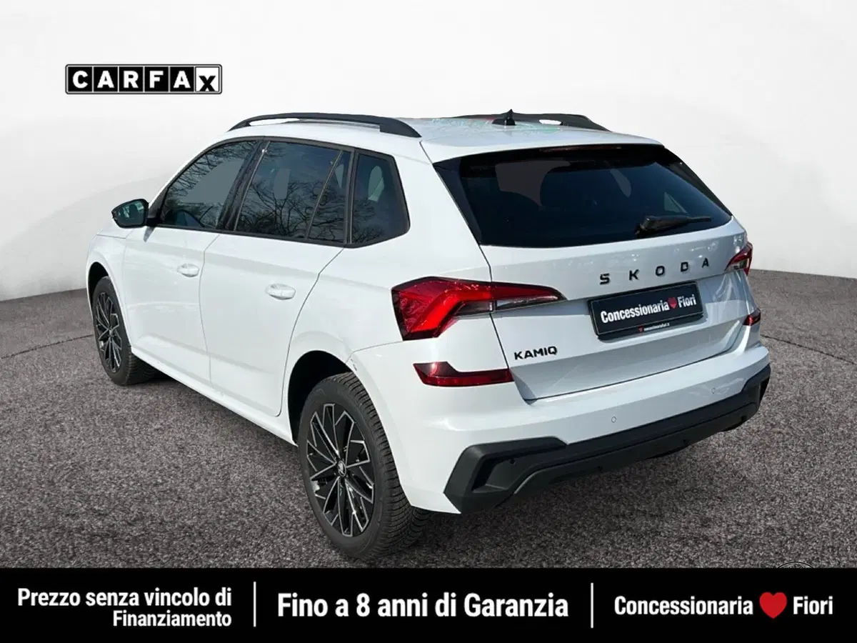 Skoda Kamiq usata a Roma (4)