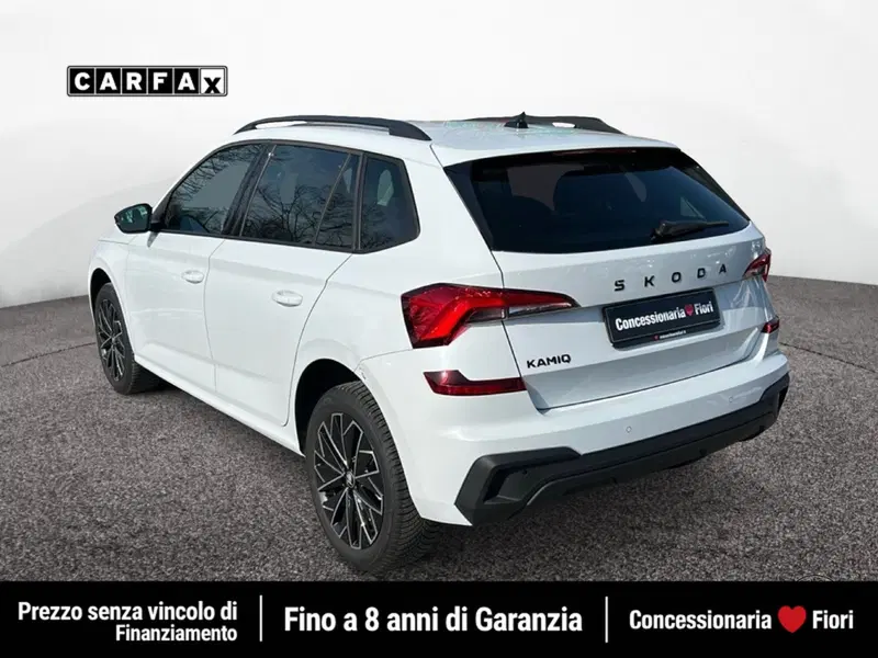 Skoda Kamiq usata a Roma (4)