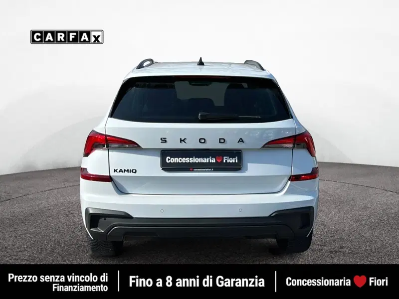 Skoda Kamiq usata a Roma (5)