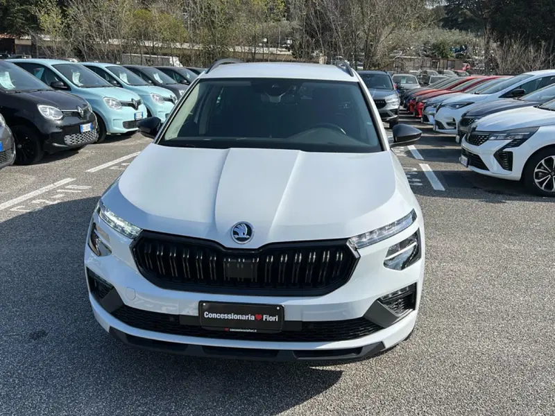 Skoda Kamiq usata a Roma (7)