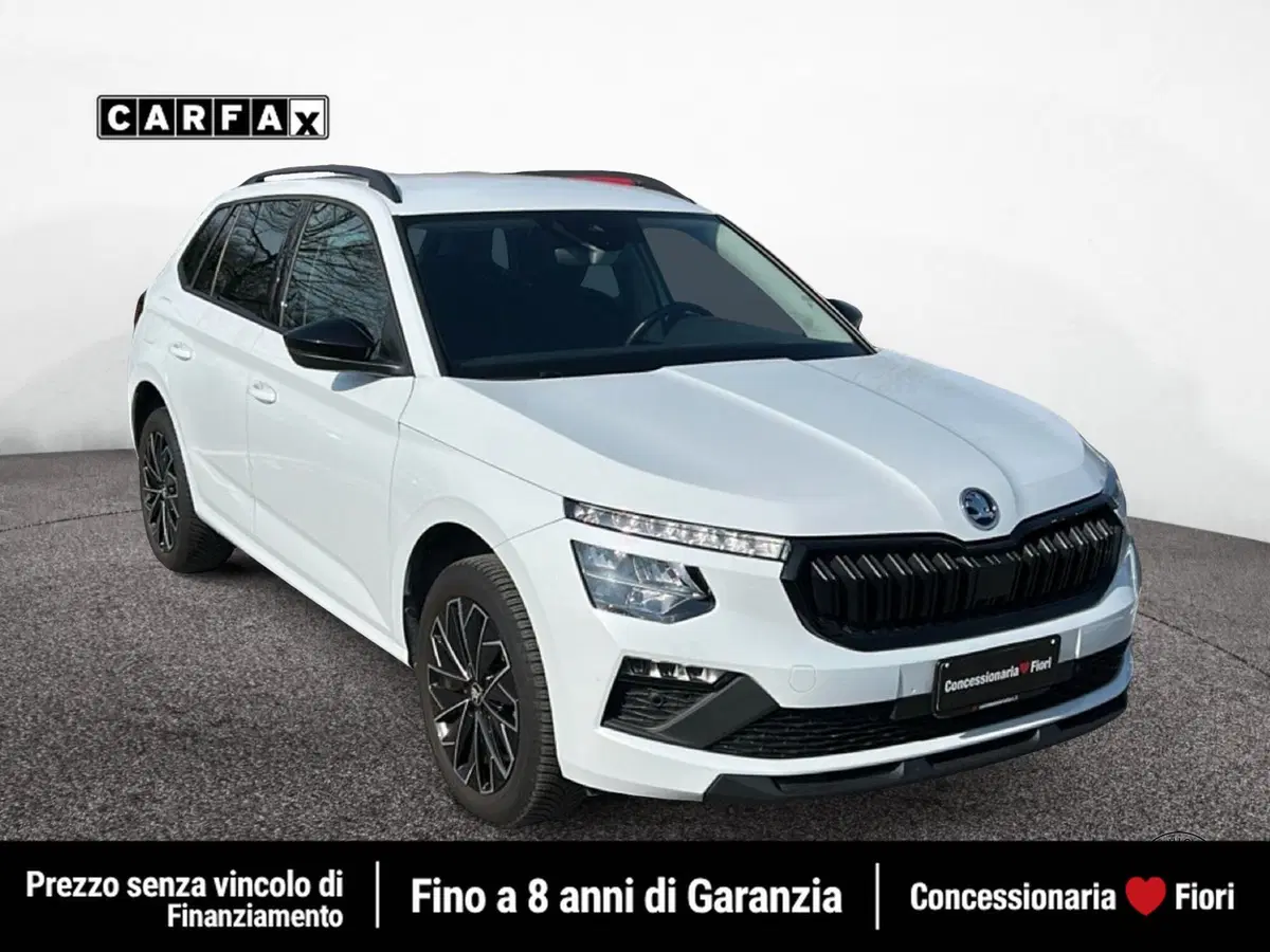 Skoda Kamiq usata a Roma (2)