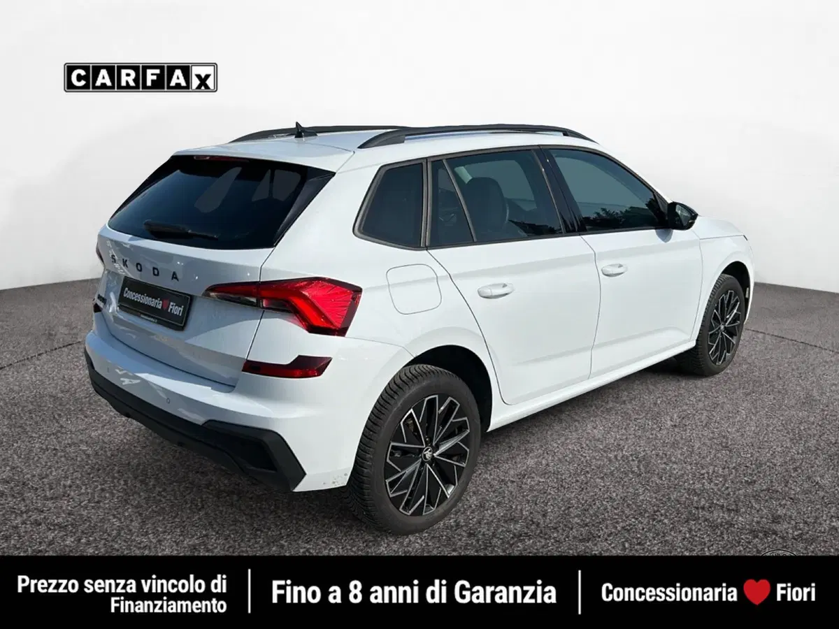Skoda Kamiq usata a Roma (3)
