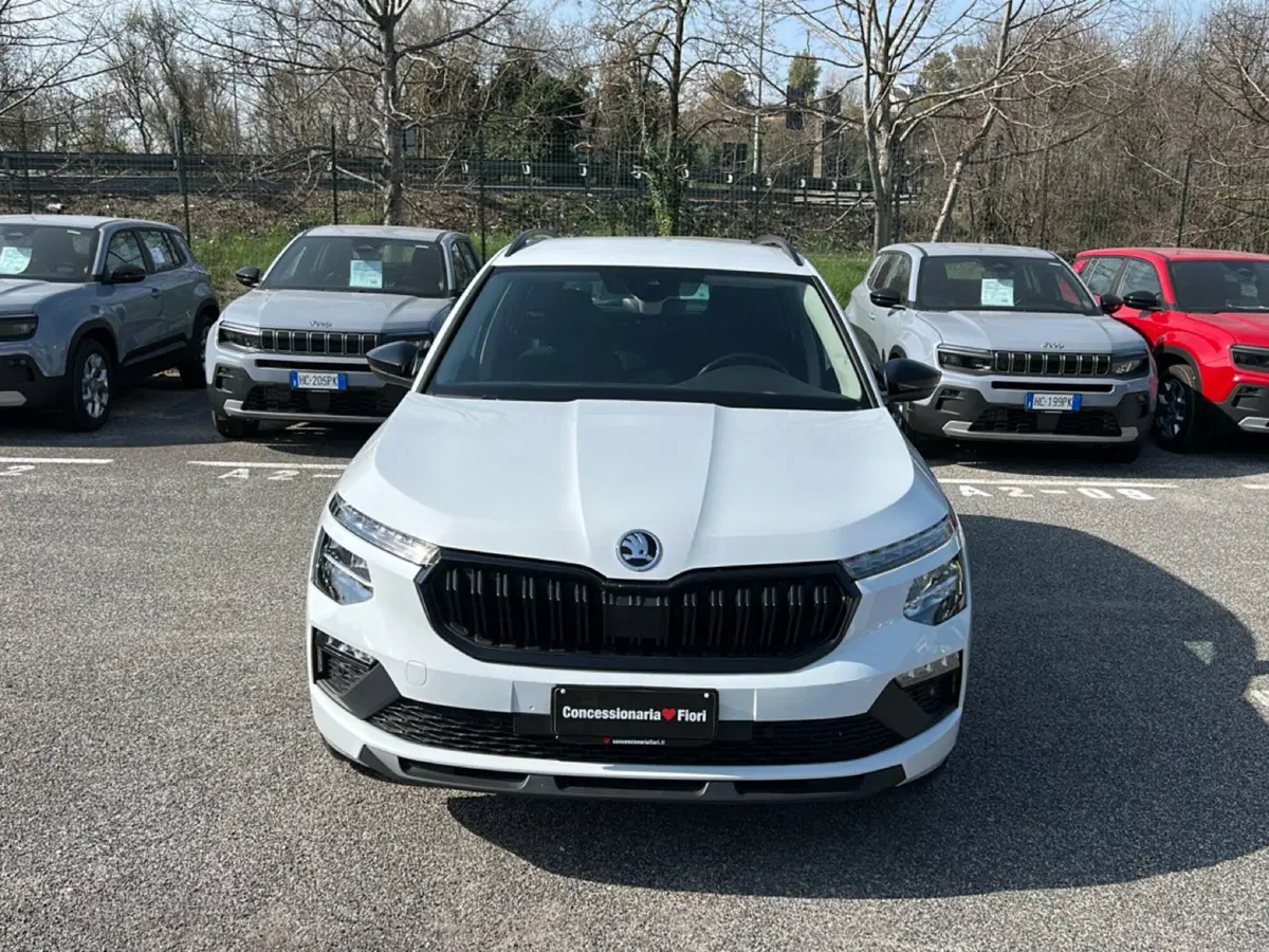 Skoda Kamiq usata a Roma (7)